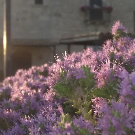Casale Clemente Beb Bed and Breakfast